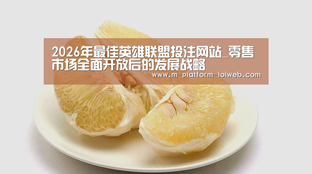 2026年最佳英雄联盟投注网站_零售市场全面开放后的发展战略(图3) LoL投注网站