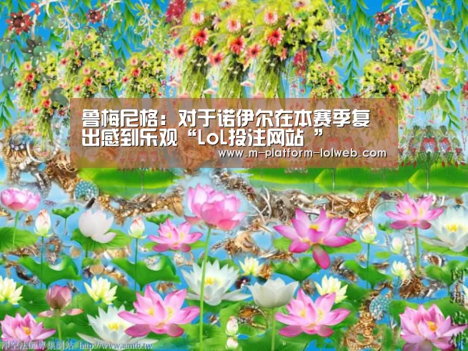 LoL投注网站 