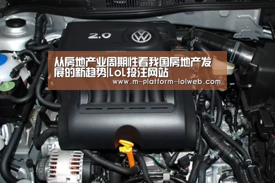 LoL投注网站 