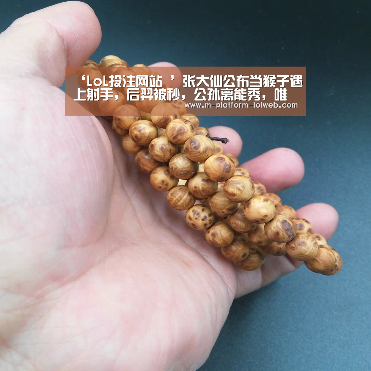 LoL投注网站 