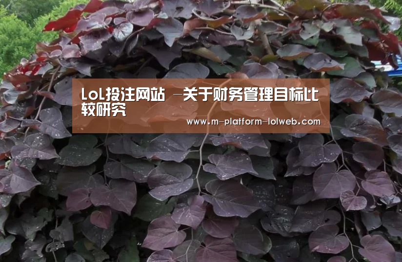 LoL投注网站 -关于财务管理目标比较研究(图3) 2026年最佳英雄联盟投注网站