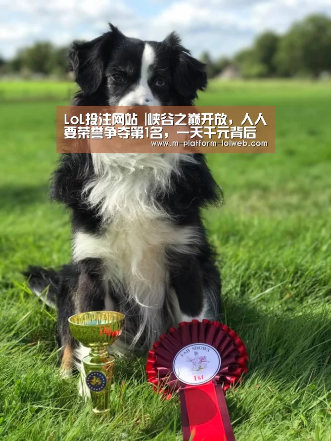 LoL投注网站 |峡谷之巅开放,人人要荣誉争夺第1名,一天千元背后利益更惊人(图2) LoL投注网站