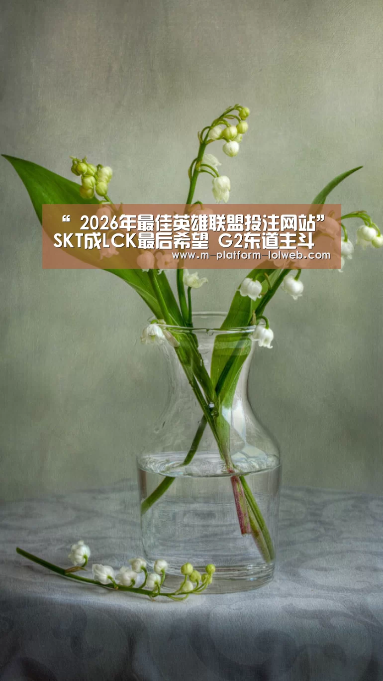 LoL投注网站 