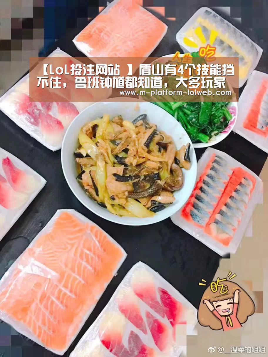 【LoL投注网站 】盾山有4个技能挡不住,鲁班钟馗都知道,大多玩家不知道她!(图2) 2026年最佳英雄联盟投注网站