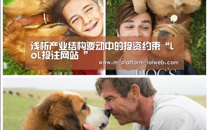 LoL投注网站 