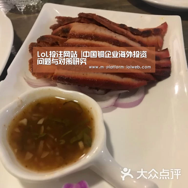 LoL投注网站 |中国铜企业海外投资问题与对策研究(图1) LoL投注网站