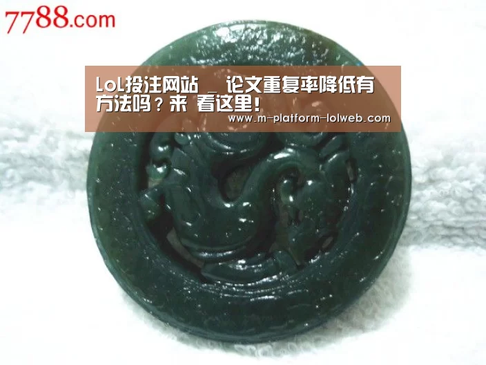 LoL投注网站 